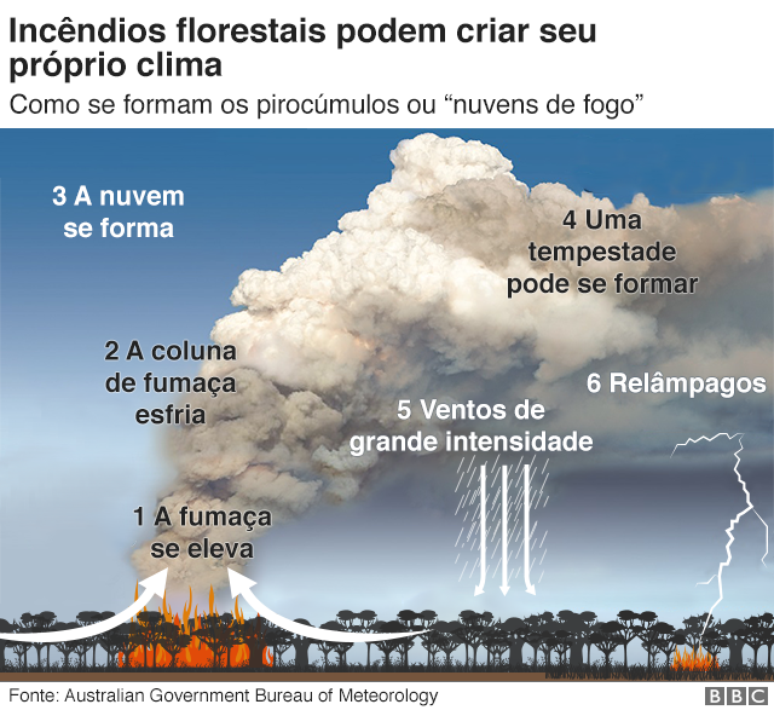 incêndios florestais