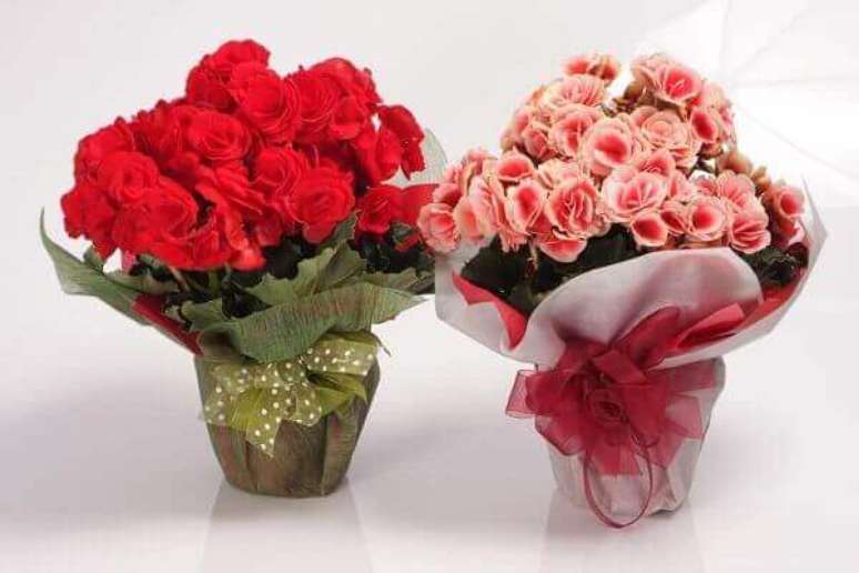 59. Presenteie alguém especial com as flores vermelhas – Fonte: Cultura Mix