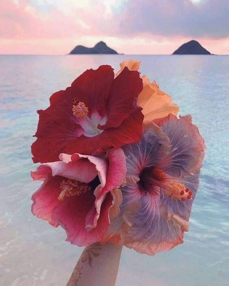 69. Buquê de hibisco nas cores vermelhas e rosa – Via: Pinterest