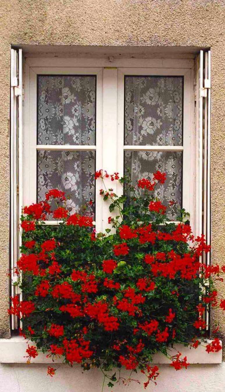 31. Flores vermelhas na janela – Via: Pinterest