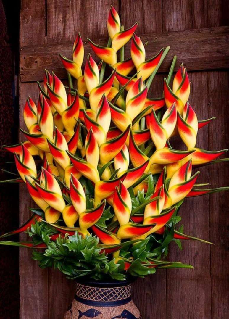 48. Planta helicônia no vaso, uma das flores vermelhas mais lindas – Via: Reddit