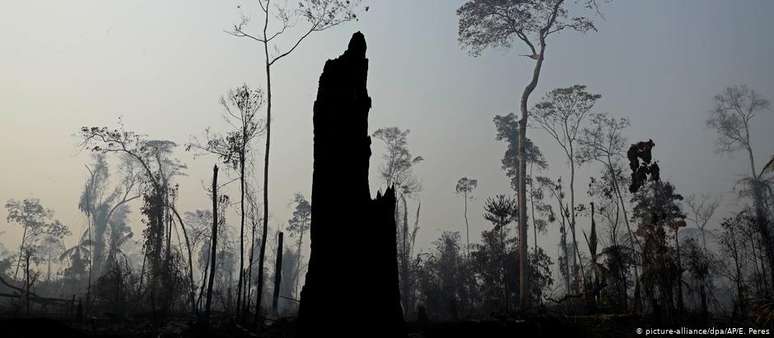Trecho da Amazônia atingido por queimadas perto de Porto velho, em foto de agosto de 2019