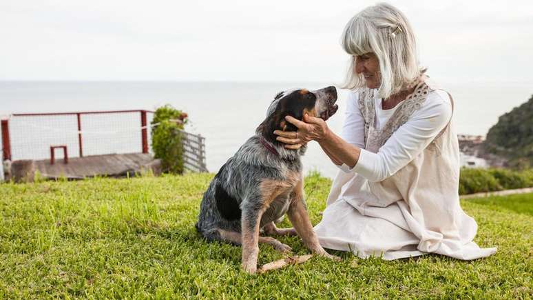 Novas ideias sobre como os cães envelhecem sugerem que nossos animais de estimação passam para a meia-idade mais rapidamente do que muitos humanos podem suspeitar