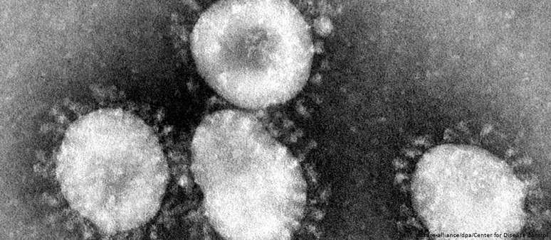 Coronavírus podem causar infecções que vão desde resfriados comuns até Sars e Mers