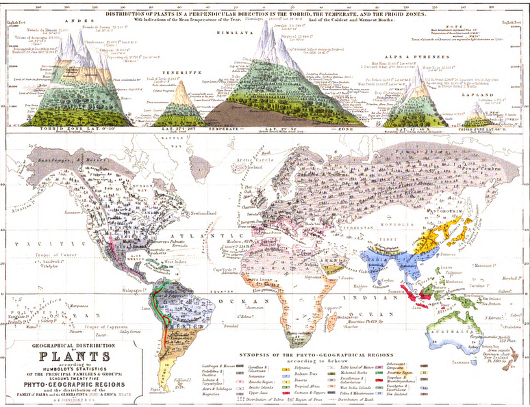 amandabrotto on X: Mapa da caverna do #OSegredoNaFloresta :) Quem está com  saudades da campanha já? Mapa em alta:    / X