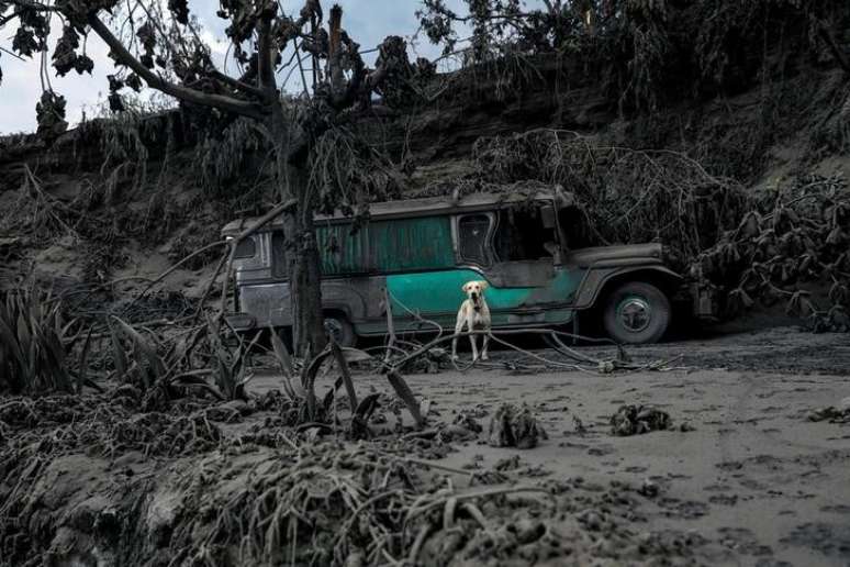 Cachorro em quintal coberto por cinzas do vulcão Taal, em Talisay, nas Filipinas
13/01/2020
REUTERS/Eloisa Lopez