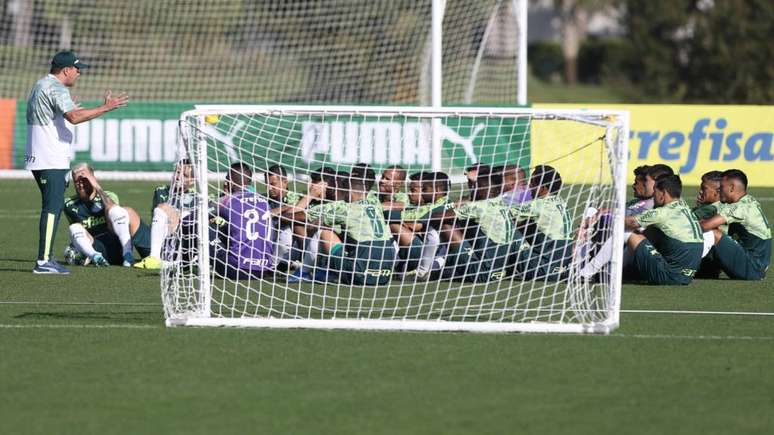 (Foto: Divulgação/ Palmeiras)