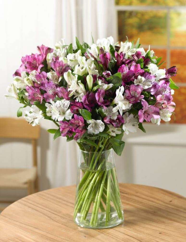 31. Astromélia lilás e branca – Foto: Your Keyword Basket