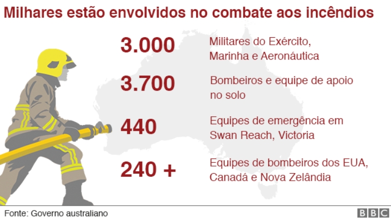 gr&aacute;fico
