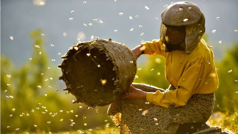 'Honeyland', sobre uma apicultora na Macedônia, é um dos documentários mais elogiados do ano e concorre com o filme brasileiro no Oscar