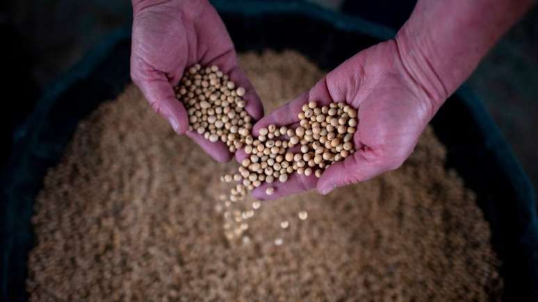 As exporta&ccedil;&otilde;es de produtos agr&iacute;colas dos EUA para a China, como a soja, ca&iacute;ram drasticamente devido &agrave; guerra comercial