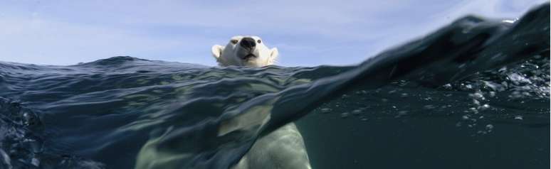 As geleiras do mar Ártico diminuíram nos últimos anos