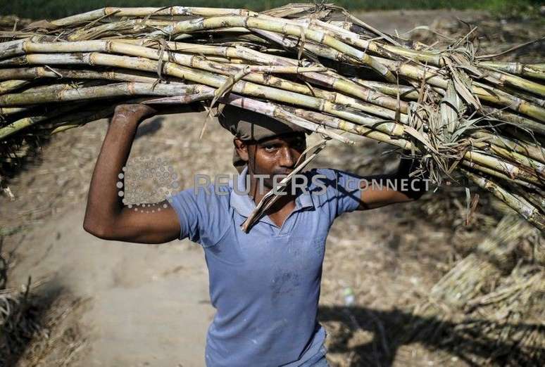Trabalhador carrega um maço de cana na cabeça em uma fazenda perto de Modinagar, no Estado de Uttar Pradesh, na Índia
04/03/2016
REUTERS/Anindito Mukherjee