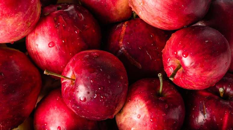 Até no 'berço' das maçãs silvestres, variedades estrangeiras e conhecidas pela forte cor vermelha estão sendo cultivadas