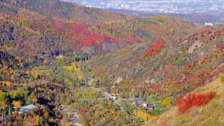 Ancestrais de muitas variedades de ma&ccedil;&atilde;s que apreciamos at&eacute; hoje v&ecirc;m do Cazaquist&atilde;o