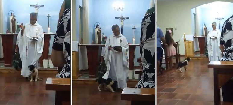 Padre foi surpreendido por 'visita' de seu cãozinho de estimação.