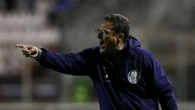 Vanderlei Luxemburgo durante o jogo contra o Ituano, na quarta-feira (Foto: Cesar Greco)