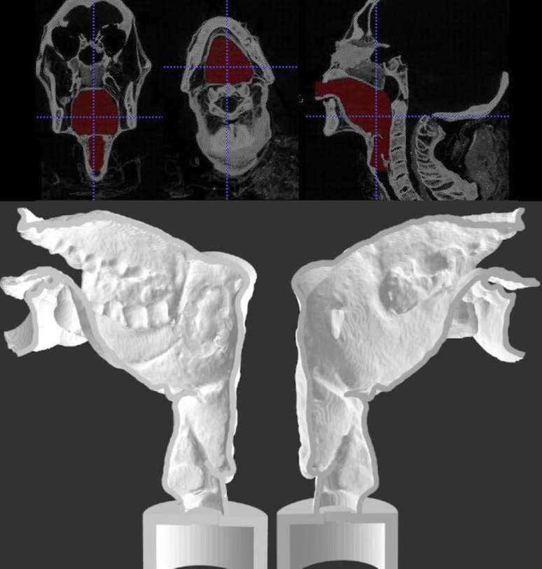 O trato vocal artificial de Nesyamun, visto aqui em duas partes, foi criado usando a tecnologia de impressão 3D