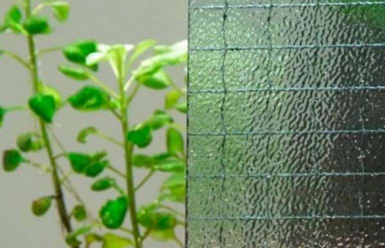 6. Tipos de vidro aramado para decorar casa &ndash; Foto: Vidra&ccedil;aria Bel Vidros