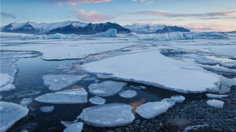 O aquecimento global pode ser o principal inimigo dos tardígrados