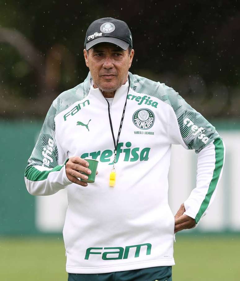 O técnico Vanderlei Luxemburgo comandou a atividade do Palmeiras nesta segunda-feira (Foto: Divulgação)