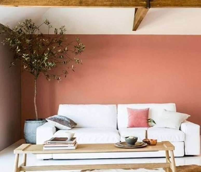 19. Cor terracota para decoração de sala de estar com planta grande e sofá branco – Foto: Casa e Jardim