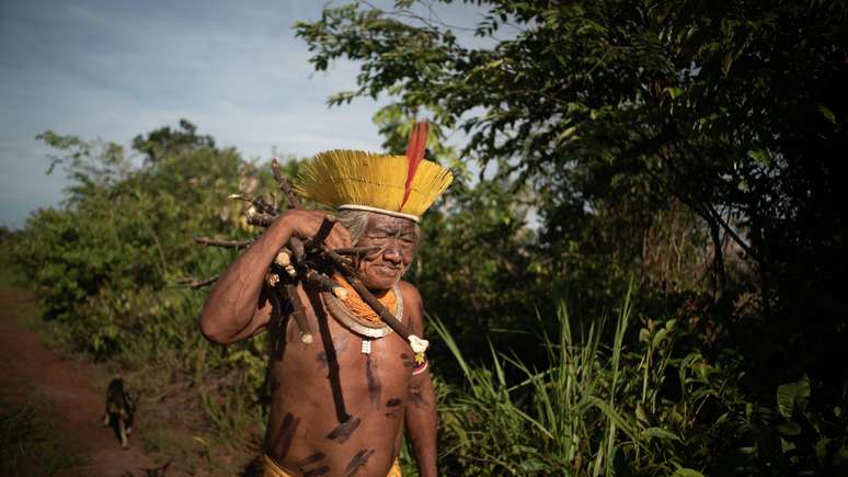 O cacique Bedjai Txucarramãe carrega ramas de mandioca na Terra Indígena Capoto Jarina, em Mato Grosso