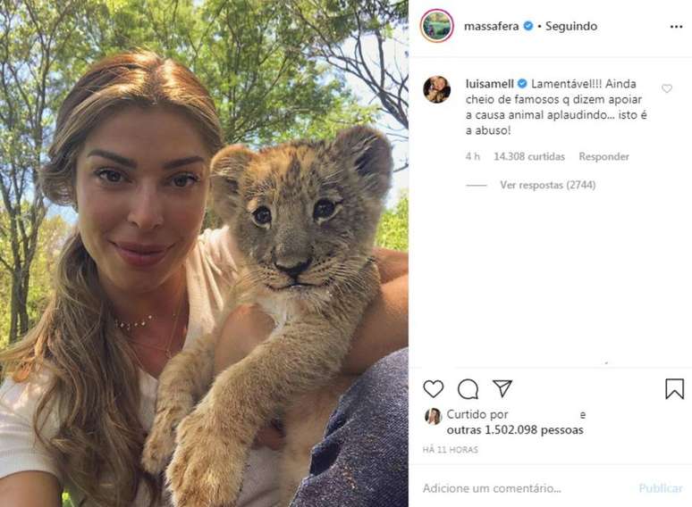 Comentário feito por Luisa Mell em foto de Grazi Massafera ao lado de filhote de leão.