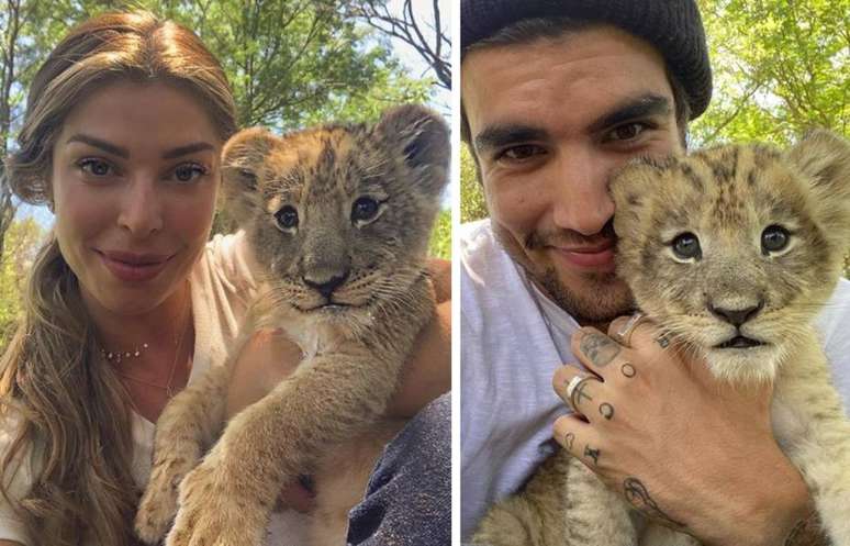 Grazi Massafera e Caio Castro postaram fotos ao lado de filhote de leão