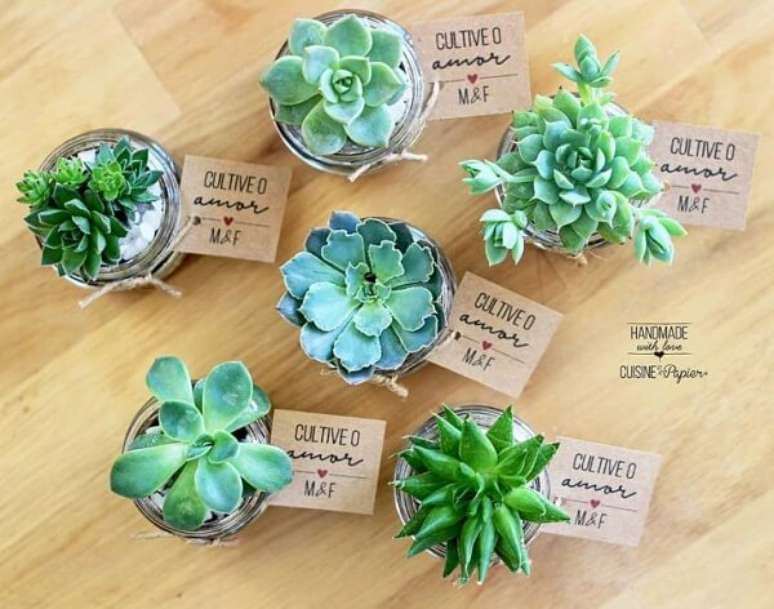 10- Para a decoração de noivado simples utilize as suculentas como lembrancinhas. Fonte: Cuisine ET Papier