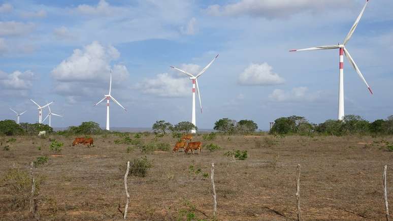 Nordeste é responsável por 86% da produção de energia eólica do Brasil