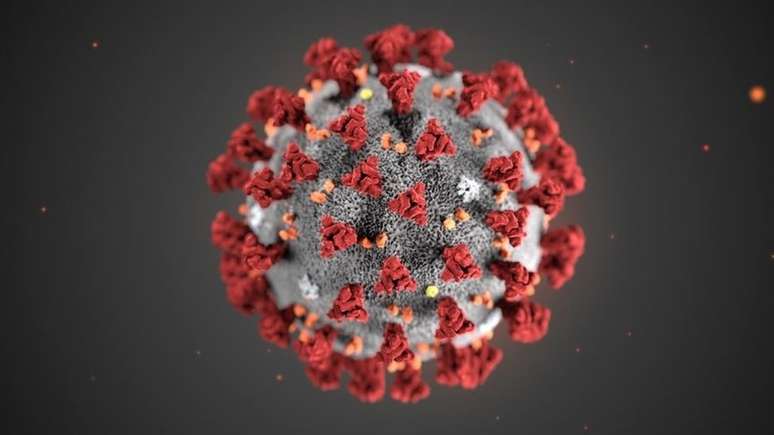 Novo coronavírus foi identificado em dezembro na China