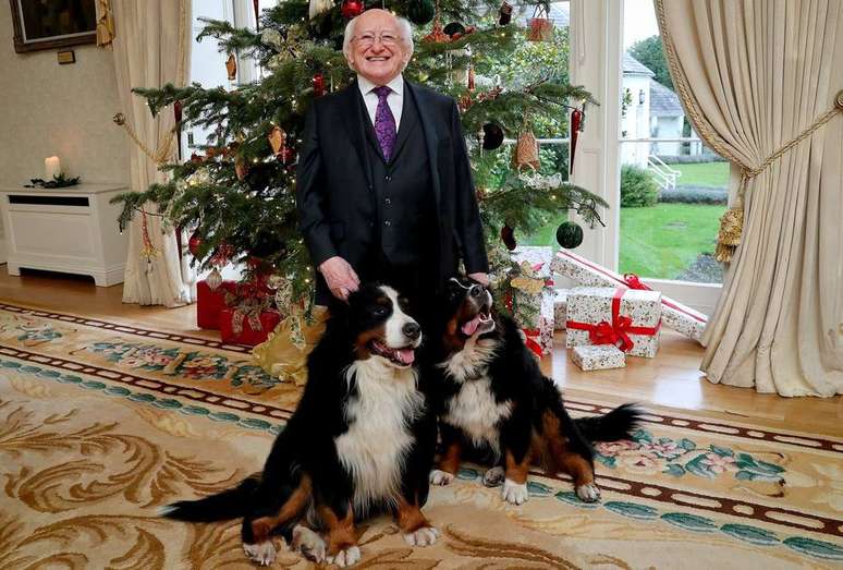 Michael D. Higgins com seus dois cachorros