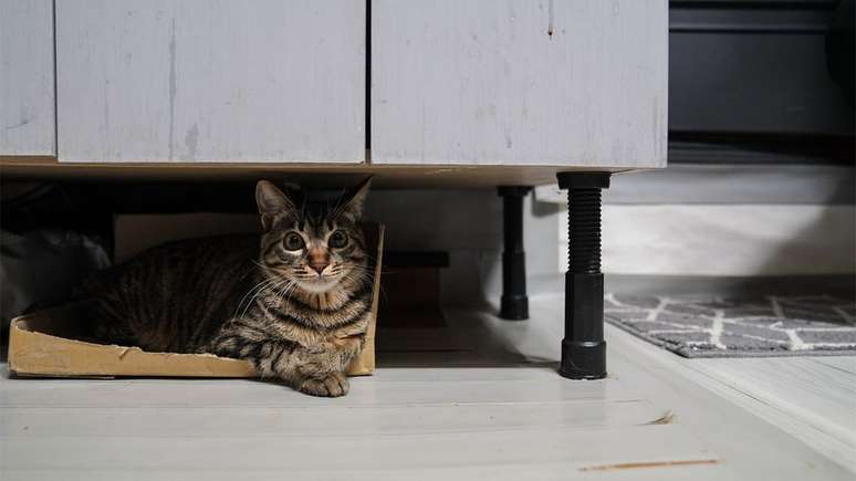 Moradores dos apertados banjiha t&ecirc;m que conviver com n&iacute;vel de umidade elevado