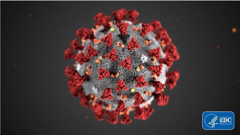 Cientistas disseram à BBC que estão perto de anunciar nome para novo coronavírus