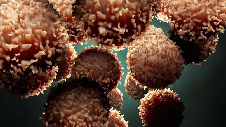 Células de câncer são células comuns que sofrem mutações e passam a se multiplicar sem controle