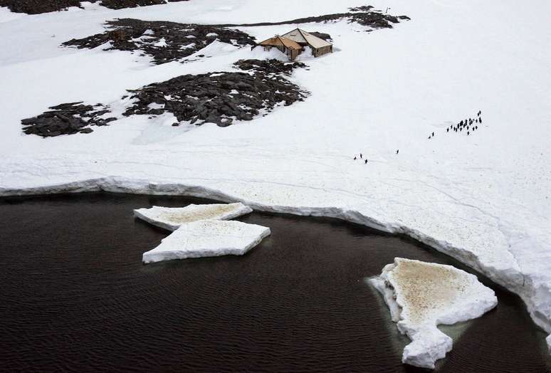 10/12/2009
REUTERS/Pauline Askin