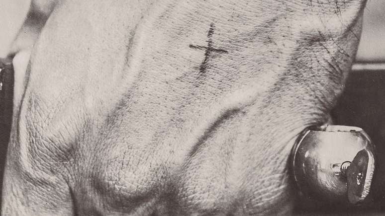 Adib, imigrante s&iacute;rio-liban&ecirc;s, teve a m&atilde;o tatuada com uma pequena cruz quando crian&ccedil;a. Imigrantes de diversas nacionalidades contribu&iacute;ram para o desenvolvimento da tatuagem brasileira