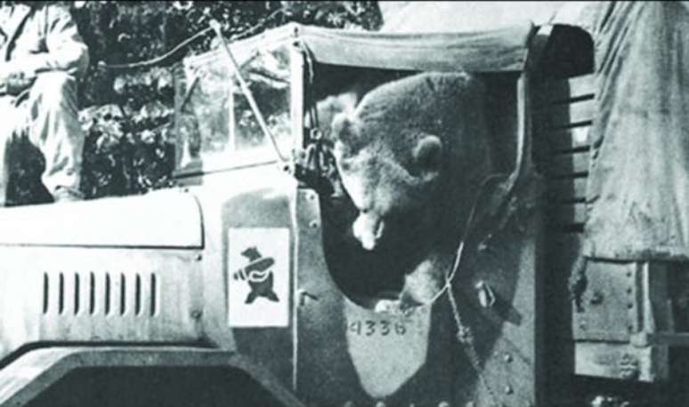 Wojtek ajudava os companheiros a descarregar os caminhões de munição. A insignia oficial do pelotão era uma homenagem ao urso