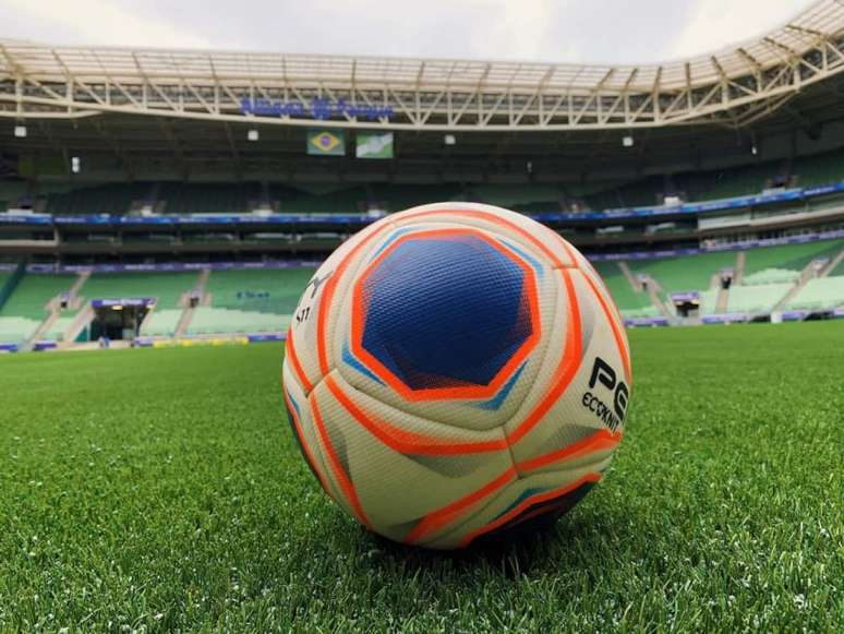 O Allianz Parque estreará o novo gramado no domingo, contra o Mirassol (Foto: Divulgação)