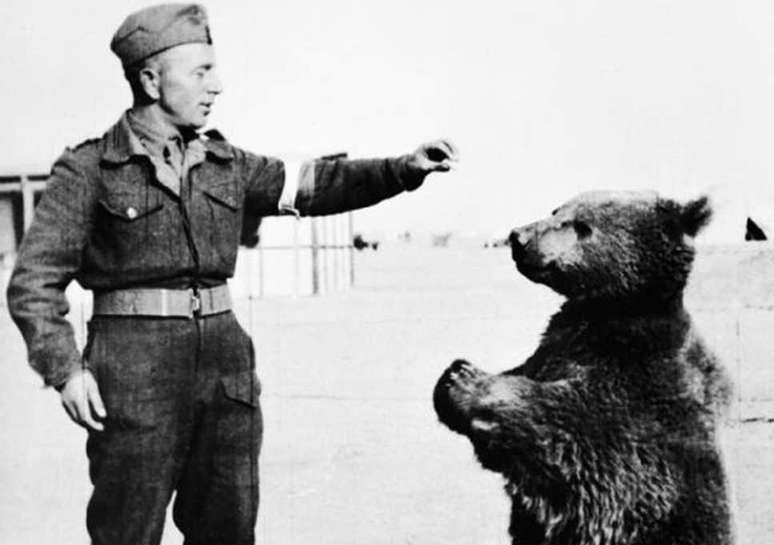 "Adotado" por um pelotão do exército polonês, o urso Wojtek ficou tão próximos dos soldados que ganhou ranking militar