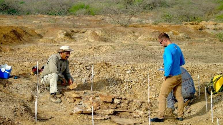 Um dos fósseis foi encontrado pelos paleontologistas na região de Urumaco, na Venezuela