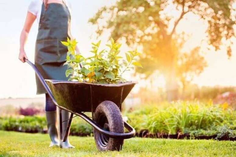 6- O carrinho de mão ajuda a transportar a terra e as plantas na manutenção do jardim. Fonte: Habitissimo