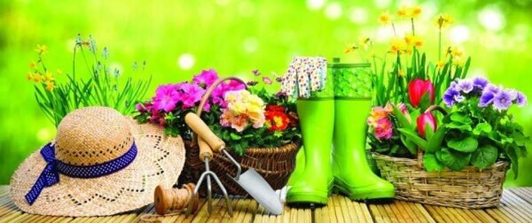 13 &ndash; Sempre que voc&ecirc; executar alguma atividade de jardinagem utilize chap&eacute;u para se proteger dos raios solares. Fonte: The Brasilians