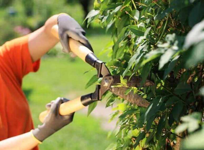 3- Uma das ferramentas mais importantes para jardinagem é a tesoura de poda. Fonte: Pinterest