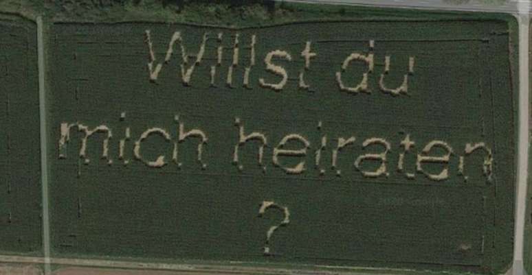 Agricultor usou sua plantação para formar a frase 'Você quer casar comigo?'