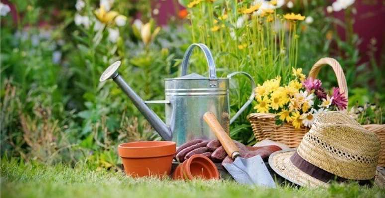 12 – A jardinagem é um hobby relaxante para você fazer na sua casa. Fonte: Westwing