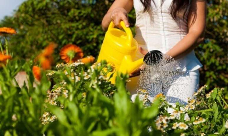 24- O regador é uma ferramenta de jardinagem ideal para molhar plantas delicadas; Fonte: Joli