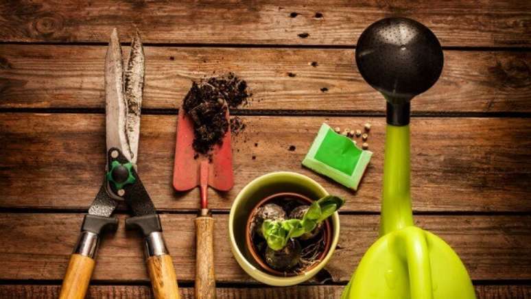27- Você encontra no mercado kit´s de jardinagem com todas as ferramentas básicas. Fonte: EnglishLive
