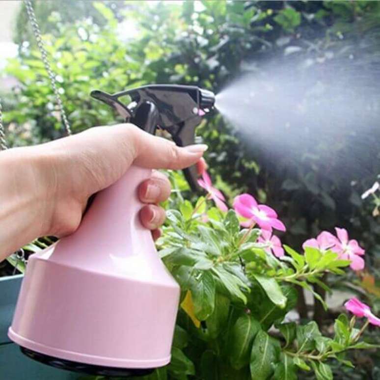 11- O borrifador é uma ferramenta útil para umedecer as plantas ou para aplicar produtos defensivos. Fonte: Google Site